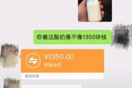 龙凤龙凤专业催债公司的催债流程和方法