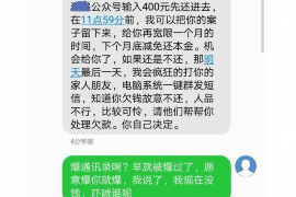 龙凤龙凤的要账公司在催收过程中的策略和技巧有哪些？